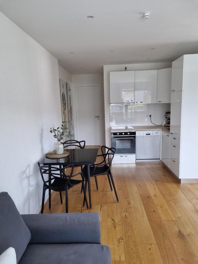 Ella'S Lounge - Besonders Geniessen Apartment Singen Bagian luar foto